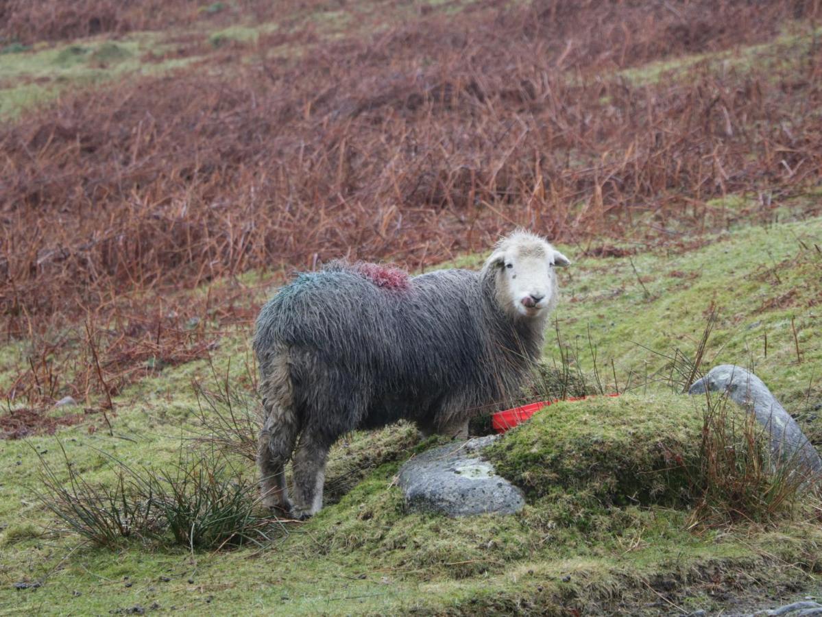 Howgills Retreat Holiday home *